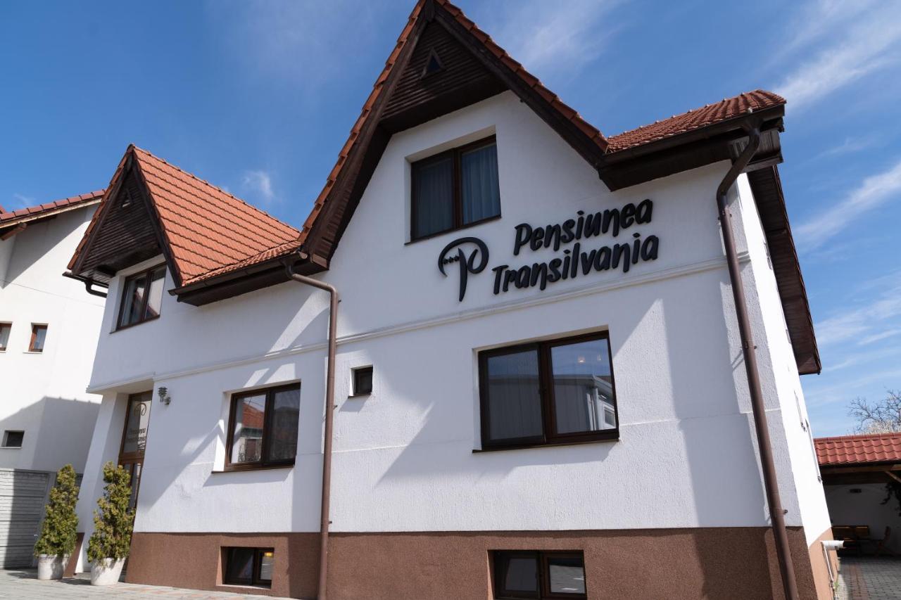Pensiunea Transilvania Sibiu Bagian luar foto